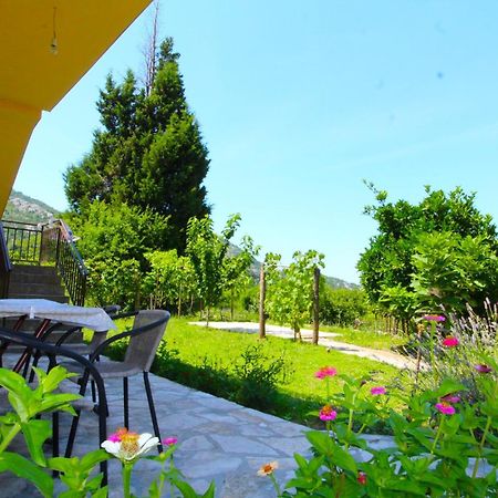 Apartments Stevan Бар Экстерьер фото